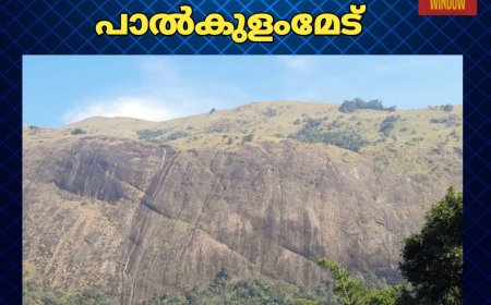 പാൽക്കുളംമേട് വെള്ളച്ചാട്ടത്തിന്റെ താഴ് വാരത്തേക്ക് കൂടുതൽ സഞ്ചാരികളെ എത്തിക്കുന്നതിന്  പ്രയോജനപ്പെടും വിധം റോഡും പാലവും നിർമ്മിക്കുമെന്ന് ഇടുക്കി ബ്ലോക്ക് പഞ്ചായത്ത് അംഗം ആൻസി തോമസ്