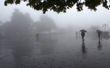 സംസ്ഥാനത്ത് മഴ മുന്നറിയിപ്പില്‍ മാറ്റം. ഇന്ന് മൂന്നു ജില്ലകളിലും നാളെ ഇടുക്കി ഉൾപ്പെടെ രണ്ടു ജില്ലകളിലും യെല്ലോ അലര്‍ട്ട് പ്രഖ്യാപിച്ചു.