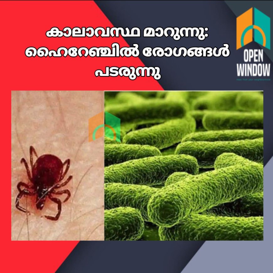 കാലാവസ്ഥ മാറുന്നു. ഹൈറേഞ്ചിൽ രോഗങ്ങൾ പടരുന്നു. എലിപ്പനിക്കും ഡങ്കിപ്പനിക്കും പിന്നാലെ ചെള്ള് പനിയും