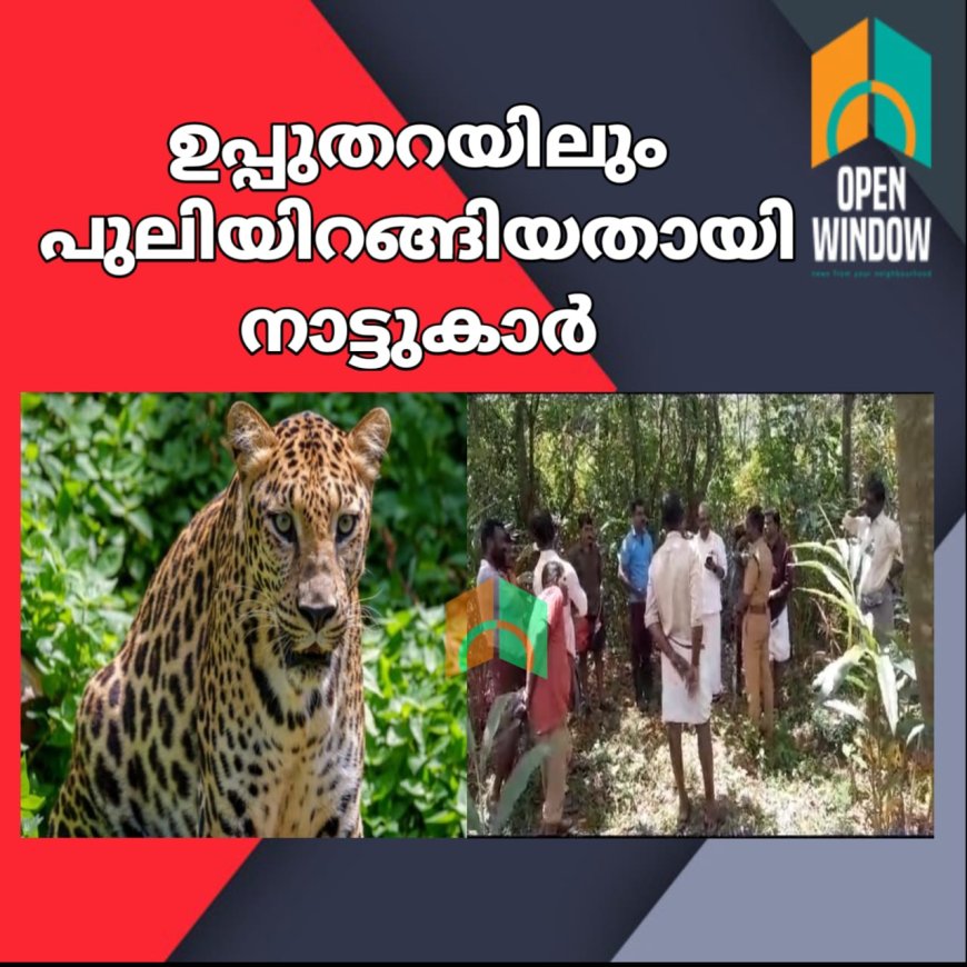 ഉപ്പുതറയിലും പുലിയിറങ്ങിയതായി നാട്ടുകാർ. വനപാലകർ സ്ഥലത്തെത്തി പരിശോധന നടത്തി