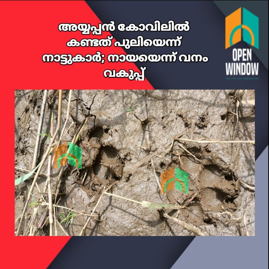 അയ്യപ്പൻ കോവിലിൽ കണ്ടത്  പുലിയെന്ന്  നാട്ടുകാർ. നായയെന്ന് വനം വകുപ്പ്