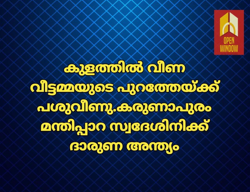 കുളത്തിൽ വീണ
വീട്ടമ്മയുടെ പുറത്തേയ്ക്ക് പശുവീണു.കരുണാപുരം മന്തിപ്പാറ സ്വദേശിനിക്ക് ദാരുണ അന്ത്യം