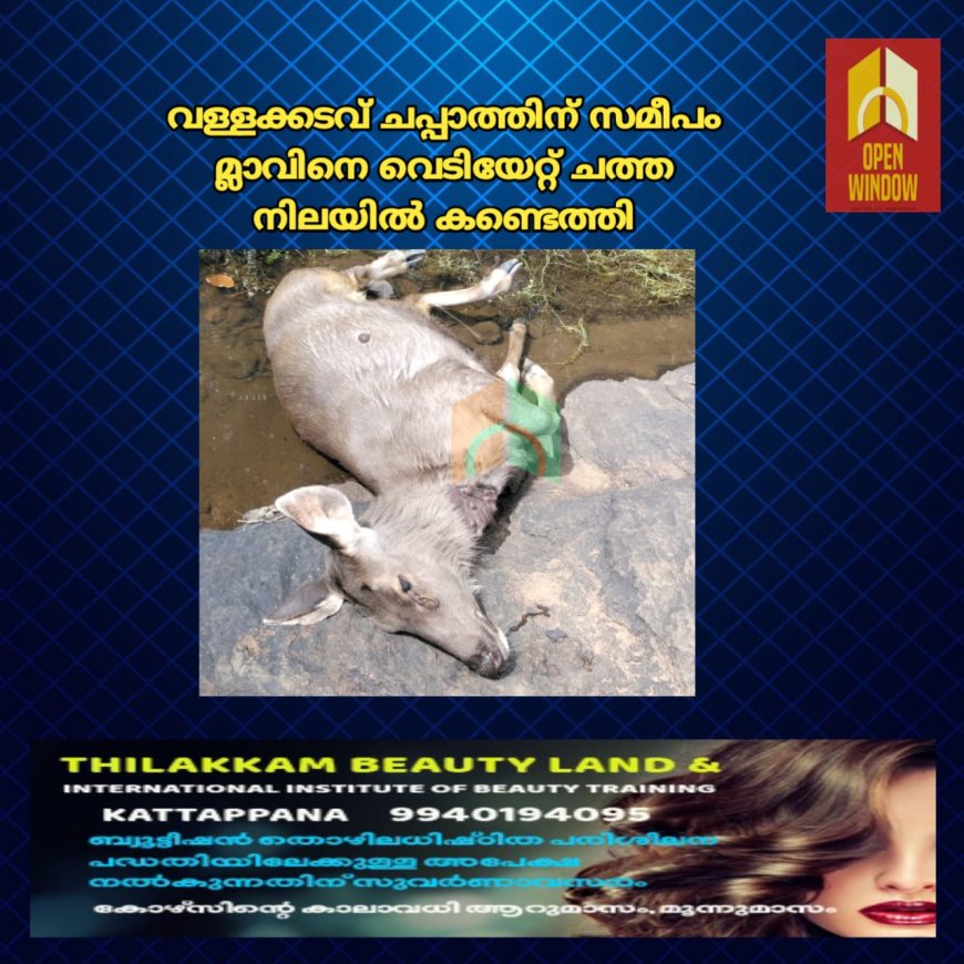 വണ്ടി പെരിയാറിൽ വനമേഖലയോട് ചേർന്ന പ്രദേശങ്ങളിൽ നായാട്ട് സംഘം വിലസുന്നു.വള്ളക്കടവ് ചപ്പാത്തിന് സമീപം മ്ലാവിനെ വെടിയേറ്റ് ചത്ത നിലയിൽ കണ്ടെത്തി