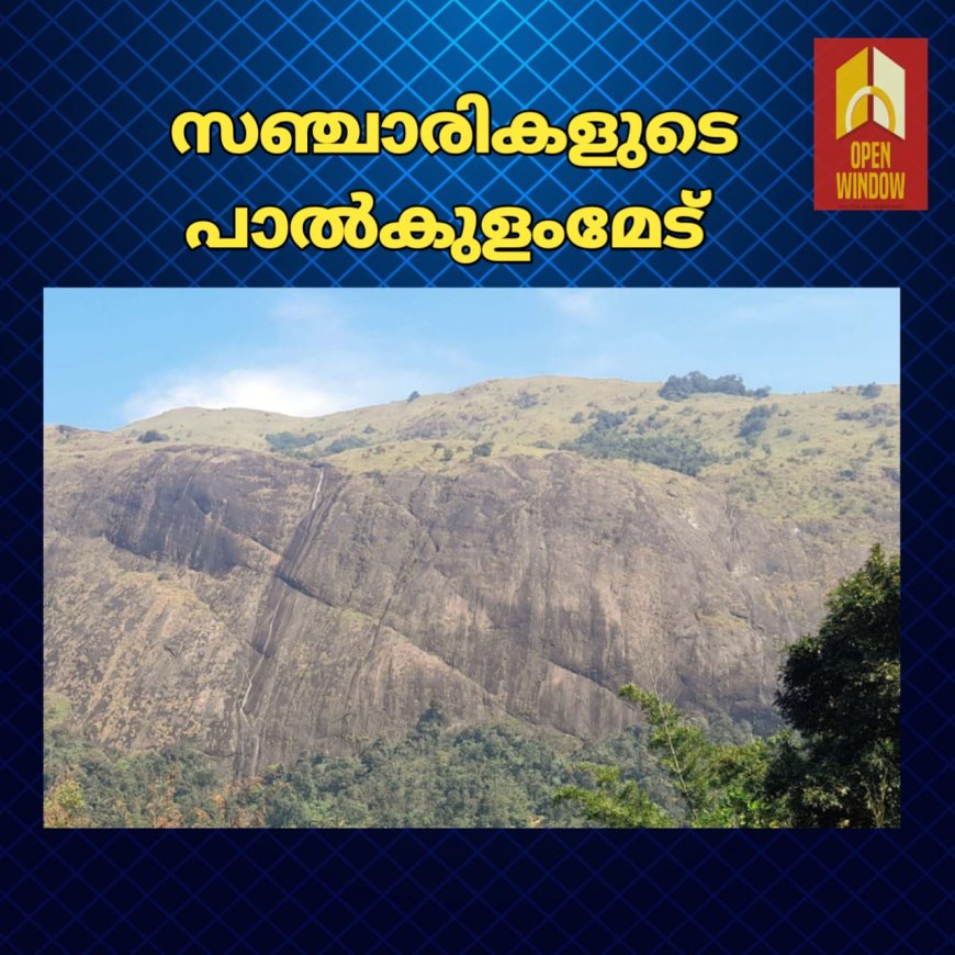 പാൽക്കുളംമേട് വെള്ളച്ചാട്ടത്തിന്റെ താഴ് വാരത്തേക്ക് കൂടുതൽ സഞ്ചാരികളെ എത്തിക്കുന്നതിന്  പ്രയോജനപ്പെടും വിധം റോഡും പാലവും നിർമ്മിക്കുമെന്ന് ഇടുക്കി ബ്ലോക്ക് പഞ്ചായത്ത് അംഗം ആൻസി തോമസ്