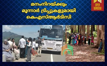 സഞ്ചാരികളുടെ മനംനിറയ്ക്കും മൂന്നാര്‍ ട്രിപ്പുകളുമായി കെഎസ്ആര്‍ടിസി