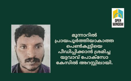 മൂന്നാറിൽ പ്രായപൂർത്തിയാകാത്ത പെൺകുട്ടിയെ പീഡിപ്പിക്കാൻ ശ്രമിച്ച യുവാവ് പോക്സോ കേസിൽ അറസ്റ്റിലായി.