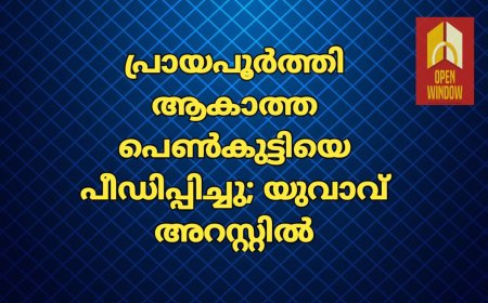 പ്രായപൂർത്തി ആകാത്ത പെൺകുട്ടിയെ പീഡിപ്പിച്ചു; യുവാവ് അറസ്റ്റിൽ