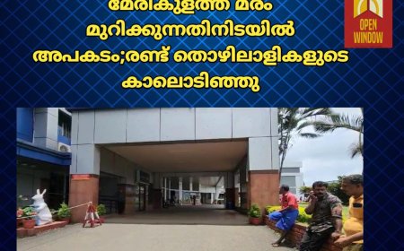 മേരികുളത്ത് മരം മുറിക്കുന്നതിനിടയിൽ അപകടം.രണ്ട് തൊഴിലാളികളുടെ കാലൊടിഞ്ഞു