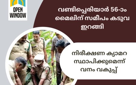 വണ്ടിപ്പെരിയാർ 56-ാം മൈലിന് സമീപം കടുവ ഇറങ്ങി. നിരീക്ഷണ ക്യാമറ സ്ഥാപിക്കുമെന്ന് വനം വകുപ്പ്