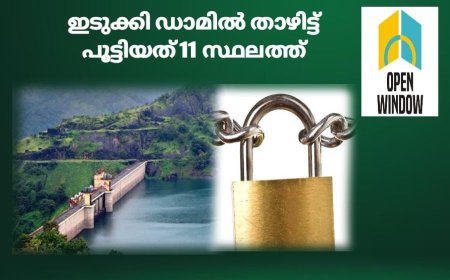 ഇടുക്കി ചെറുതോണി ഡാമിൽ താഴിട്ട് പൂട്ടിയത് 11 ‌‌സ്ഥലത്ത്; പ്രതി വിദേശത്തേക്ക് കടന്നു: അന്വേഷിക്കാൻ രഹസ്യാന്വേഷണ വിഭാ​ഗവും