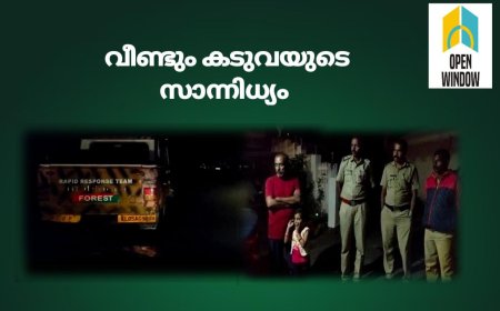വണ്ടിപ്പെരിയാർ 56-ആം മൈലിനു സമീപം വീണ്ടും കടുവ;ഭീതിയിൽ നാട്ടുകാർ