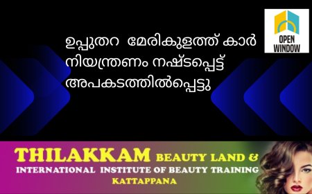 ഉപ്പുതറ  മേരികുളത്ത് കാർ നിയന്ത്രണം നഷ്ടപ്പെട്ട് അപകടത്തിൽപ്പെട്ടു