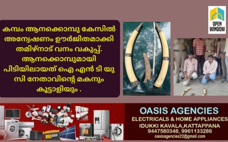 കമ്പം ആനക്കൊമ്പു കേസിൽ അന്വേഷണം ഊർജിതമാക്കി തമിഴ്നാട് വനം വകുപ്പ്. ആനക്കൊമ്പുമായി പിടിയിലായത് ഐ എൻ ടി യു സി നേതാവിൻ്റെ മകനും കൂട്ടാളിയും