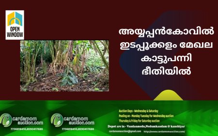 അയ്യപ്പൻകോവിൽ ഇടപ്പൂക്കളം മേഖല കാട്ടുപന്നി ഭീതിയിൽ