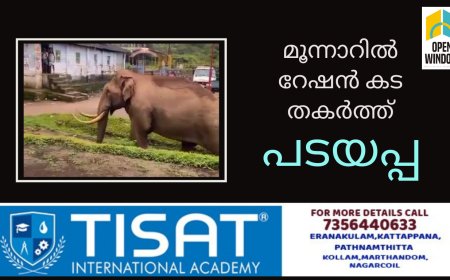 മൂന്നാറിൽ റേഷൻ കട തകർത്ത് പടയപ്പ