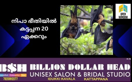 നിപാ ഭീതിയിൽ   കട്ടപ്പന 20 ഏക്കറും