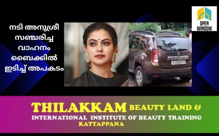 നടി അനുശ്രീ സഞ്ചരിച്ച വാഹനം ബൈക്കിൽ ഇടിച്ച് അപകടം; രണ്ട് പേർക്ക് പരിക്ക്