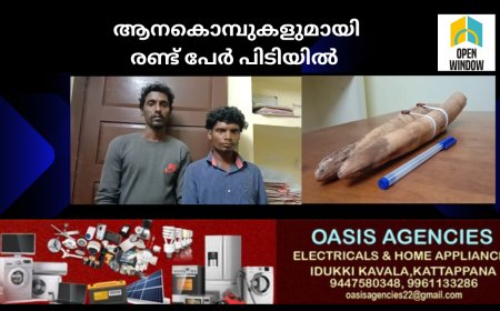 രണ്ട് കിലോ തൂക്കം വരുന്ന ആന കൊമ്പുകളുമായി രണ്ട് പേരെ പീരുമേട് പരുന്തുംപാറയിൽ നിന്ന് വനം വകുപ്പ് പിടികൂടി