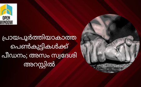 ഇടുക്കി ചെറുതോണിയിൽ പ്രായപൂർത്തിയാകാത്ത പെൺകുട്ടികൾക്ക് പീഡനം; അസം സ്വദേശിഅറസ്റ്റിൽ