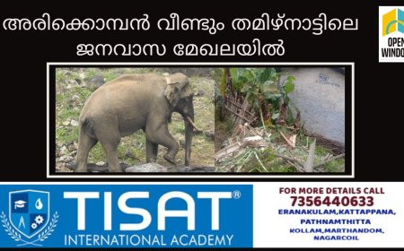 അരിക്കൊമ്പൻ വീണ്ടും തമിഴ്നാട്ടിലെ ജനവാസ മേഖലയിൽ