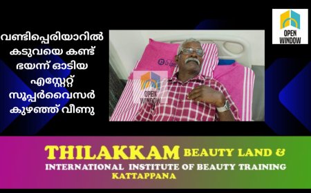 വണ്ടിപ്പെരിയാറിൽ  കടുവയെ കണ്ട് ഭയന്ന് ഓടിയ എസ്റ്റേറ്റ് സൂപ്പർവൈസർ കുഴഞ്ഞ് വീണു