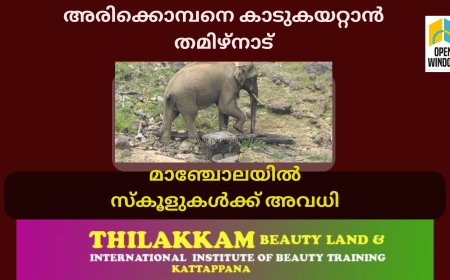 അരിക്കൊമ്പനെ കാടുകയറ്റാൻ തമിഴ്നാട്.
മാഞ്ചോലയിൽ സ്കൂളുകൾക്ക് അവധി
