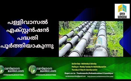 പള്ളിവാസല്‍ എക്സ്റ്റൻഷൻ പദ്ധതി പൂര്‍ത്തിയാകുന്നു