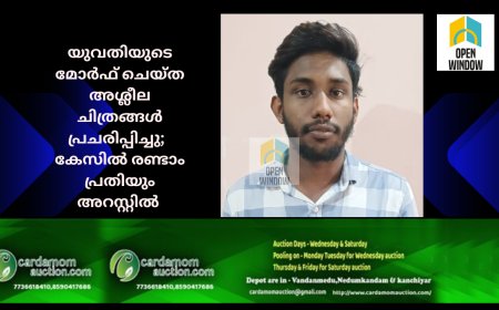യുവതിയുടെ മോർഫ് ചെയ്ത അശ്ലീല ചിത്രങ്ങൾ പ്രചരിപ്പിച്ചു;  കേസിൽ രണ്ടാം പ്രതിയും അറസ്റ്റിൽ