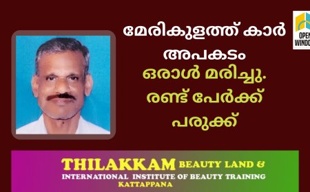 മേരികുളത്ത് കാർ അപകടം; ഒരാൾ മരിച്ചു. രണ്ടു പേർക്ക് പരുക്ക്