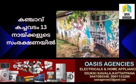 18 കിലോ കഞ്ചാവുമായി യുവാവ് പിടിയിൽ. കഞ്ചാവ് കച്ചവടം നടത്തിയിരുന്നത് 13 നായ്ക്കളുടെ സംരക്ഷണയിൽ