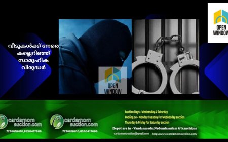 ഇടുക്കി കല്ലാർകുട്ടി നായ്ക്കുന്ന് മേഖലയിൽ രാത്രിയിൽ വീടുകൾക്ക് നേരെ ക​ല്ലെറിഞ്ഞ് സാമൂഹിക വിരുദ്ധർ; ഉറക്കം നഷ്ടപ്പെട്ട് പ്രദേശവാസികൾ