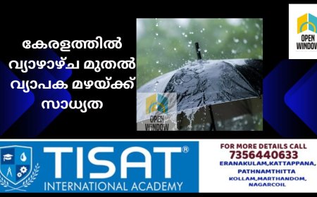 കേരളത്തിൽ വ്യാഴാഴ്ച മുതൽ വ്യാപക മഴയ്ക്ക് സാധ്യത: ഇടുക്കി ഉൾപ്പെടെ ഒൻപത് ജില്ലകളിൽ യെല്ലോ അലർട്ട്