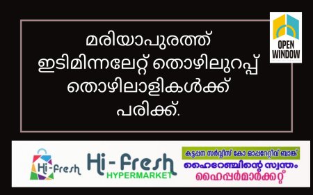 മരിയാപുരത്ത് ഇടിമിന്നലേറ്റ് തൊഴിലുറപ്പ് തൊഴിലാളികൾക്ക് പരിക്ക്.