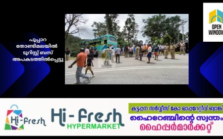 പൂപ്പാറ തോണ്ടിമലയിൽ  ടൂറിസ്റ്റ് ബസ് അപകടത്തിൽപ്പെട്ടു