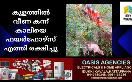 കുളത്തിൽ വീണ കന്ന് കാലിയെ ഫയർഫോഴ്സ് എത്തി രക്ഷിച്ചു