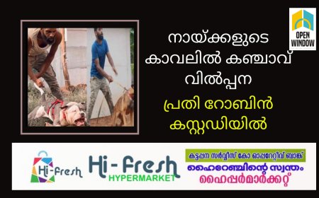 നായ്ക്കളുടെ കാവലിൽ കഞ്ചാവ് വിൽപ്പന. പ്രതി റോബിൻ ജോർജ് കസ്റ്റഡിയിൽ