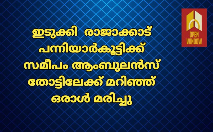 ഇടുക്കി  രാജാക്കാട് പന്നിയാർകൂട്ടിക്ക് സമീപം ആംബുലൻസ് തോട്ടിലേക്ക് മറിഞ്ഞ് ഒരാൾ മരിച്ചു