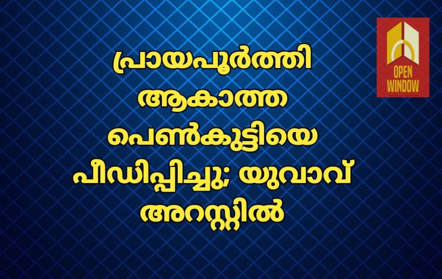 പ്രായപൂർത്തി ആകാത്ത പെൺകുട്ടിയെ പീഡിപ്പിച്ചു; യുവാവ് അറസ്റ്റിൽ