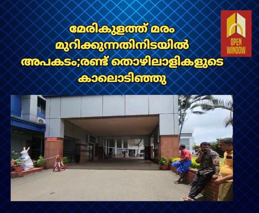 മേരികുളത്ത് മരം മുറിക്കുന്നതിനിടയിൽ അപകടം.രണ്ട് തൊഴിലാളികളുടെ കാലൊടിഞ്ഞു