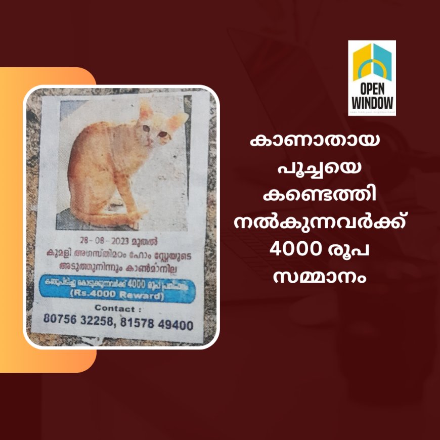 കാണാതായ പൂച്ചയെ കണ്ടെത്തി നൽകിയാൽ 4000 രൂപ സമ്മാനം. കുമളിയിൽ കൗതുകമായി പോസ്റ്ററുകൾ