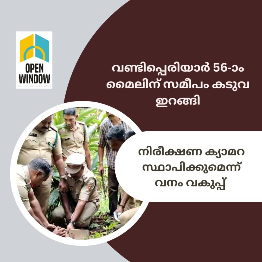 വണ്ടിപ്പെരിയാർ 56-ാം മൈലിന് സമീപം കടുവ ഇറങ്ങി. നിരീക്ഷണ ക്യാമറ സ്ഥാപിക്കുമെന്ന് വനം വകുപ്പ്