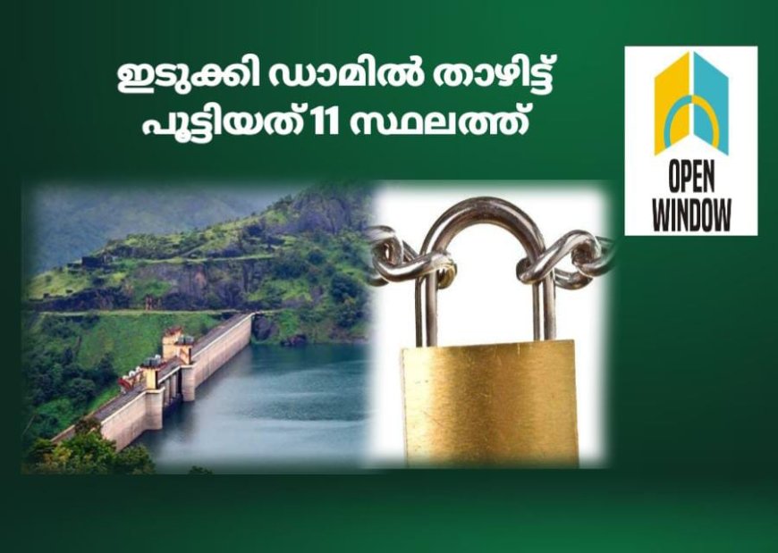 ഇടുക്കി ചെറുതോണി ഡാമിൽ താഴിട്ട് പൂട്ടിയത് 11 ‌‌സ്ഥലത്ത്; പ്രതി വിദേശത്തേക്ക് കടന്നു: അന്വേഷിക്കാൻ രഹസ്യാന്വേഷണ വിഭാ​ഗവും