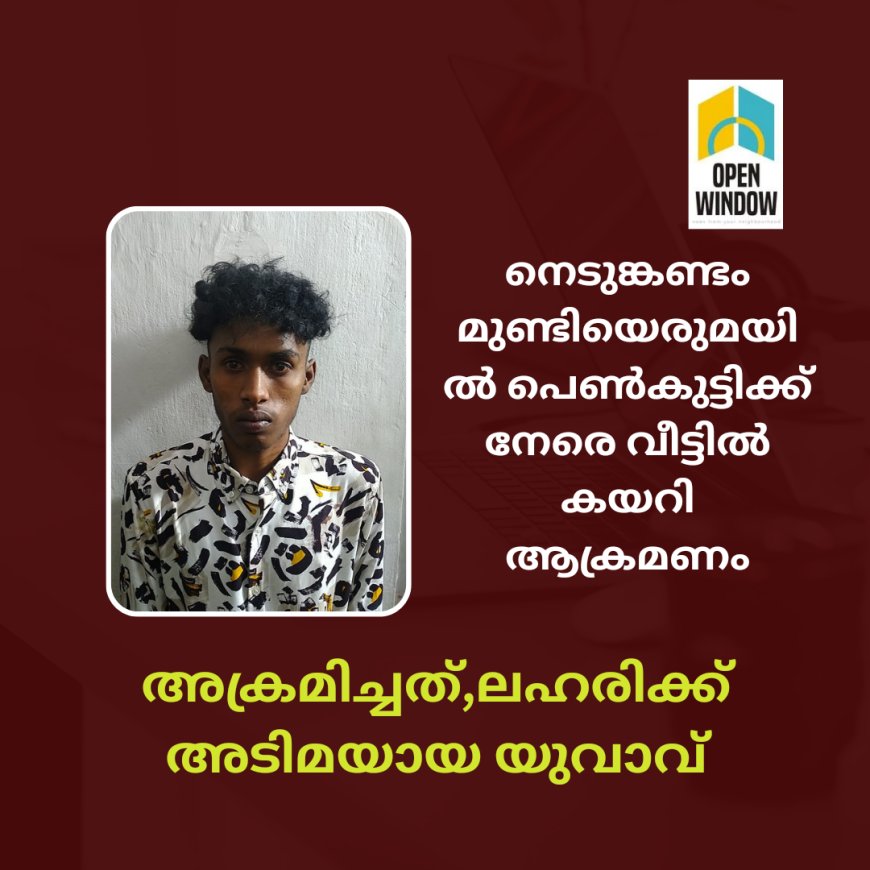 നെടുങ്കണ്ടം മുണ്ടിയെരുമയിൽ പെൺകുട്ടിക്ക് നേരെ വീട്ടിൽ കയറി ആക്രമണം. അക്രമിച്ചത്,ലഹരിക്ക് അടിമയായ യുവാവ്