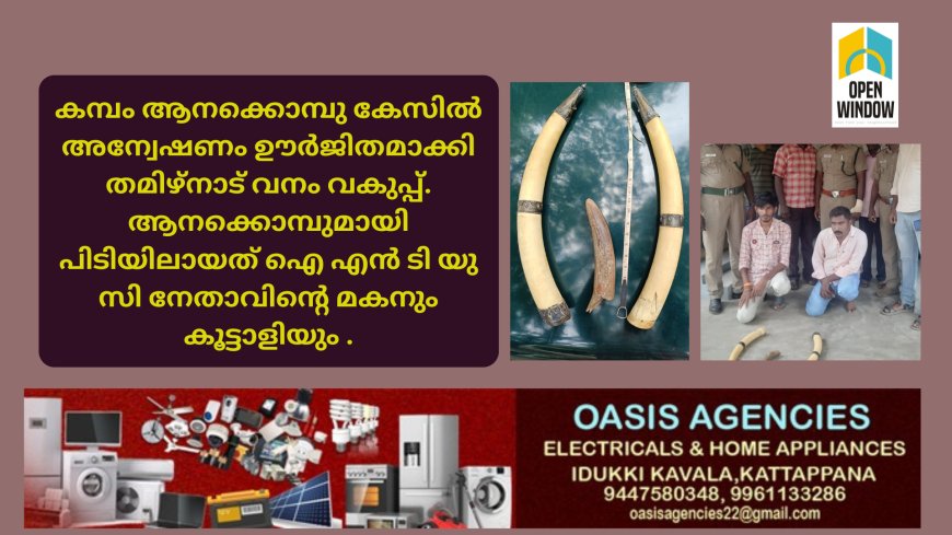 കമ്പം ആനക്കൊമ്പു കേസിൽ അന്വേഷണം ഊർജിതമാക്കി തമിഴ്നാട് വനം വകുപ്പ്. ആനക്കൊമ്പുമായി പിടിയിലായത് ഐ എൻ ടി യു സി നേതാവിൻ്റെ മകനും കൂട്ടാളിയും