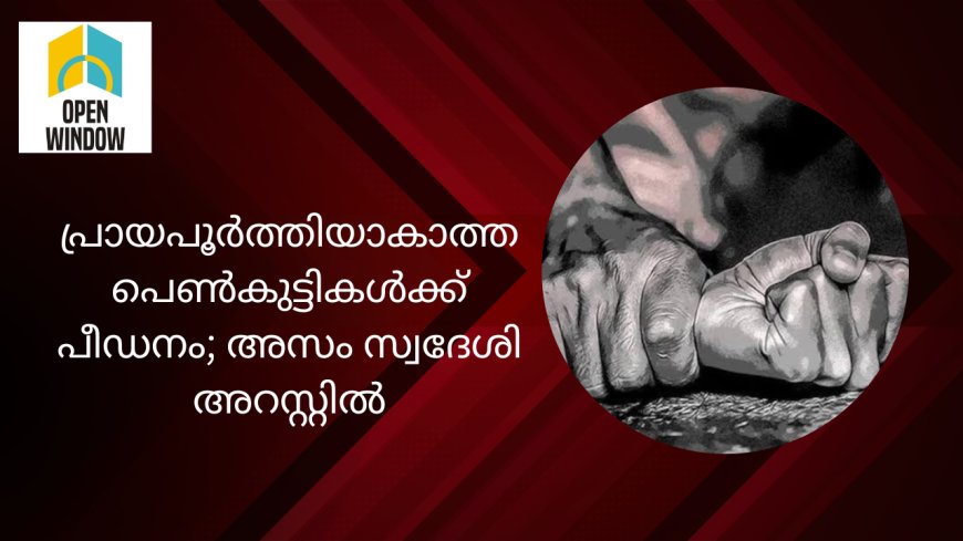 ഇടുക്കി ചെറുതോണിയിൽ പ്രായപൂർത്തിയാകാത്ത പെൺകുട്ടികൾക്ക് പീഡനം; അസം സ്വദേശിഅറസ്റ്റിൽ