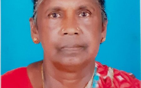 ഉപ്പുതറയിൽ കാട്ടുപന്നി ആക്രമണം; വീട്ടമ്മക്ക് ഗുരുതര പരിക്ക്