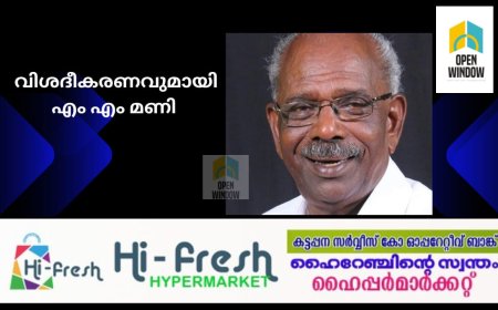 ഇടുക്കിയിലെ ദൗത്യസംഘം; വിശദീകരണവുമായി എം എം മണി