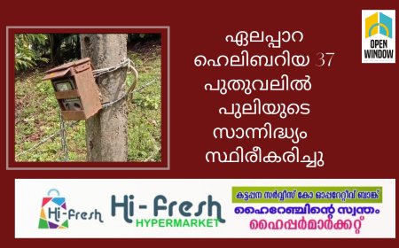 ഏലപ്പാറ ഹെലിബറിയ 37 പുതുവലിൽ   പുലിയുടെ സാന്നിദ്ധ്യം  സ്ഥിരീകരിച്ചു