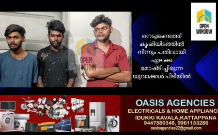 നെടുങ്കണ്ടത്ത് കൃഷിയിടത്തില്‍ നിന്നും പതിവായി ഏലക്ക മോഷ്ടിച്ചിരുന്ന യുവാക്കള്‍ പിടിയില്‍