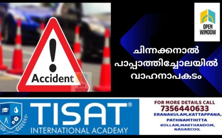 ചിന്നക്കനാൽ പാപ്പാത്തിച്ചോലയിൽ വാഹനാപകടം;8  പേർക്ക് പരിക്കേറ്റു.ഒരാളുടെ നില ഗുരുതരം 